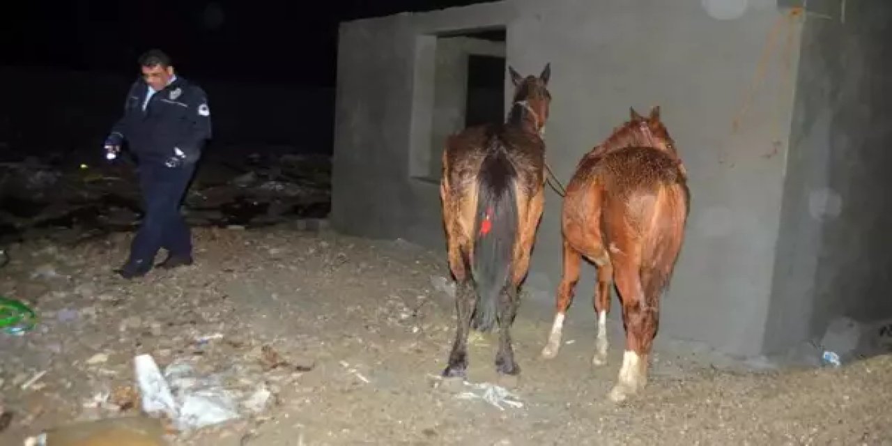 2 ilimiz vatandaşa en çok at ve eşek eti yedirmek için adeta yarışmış