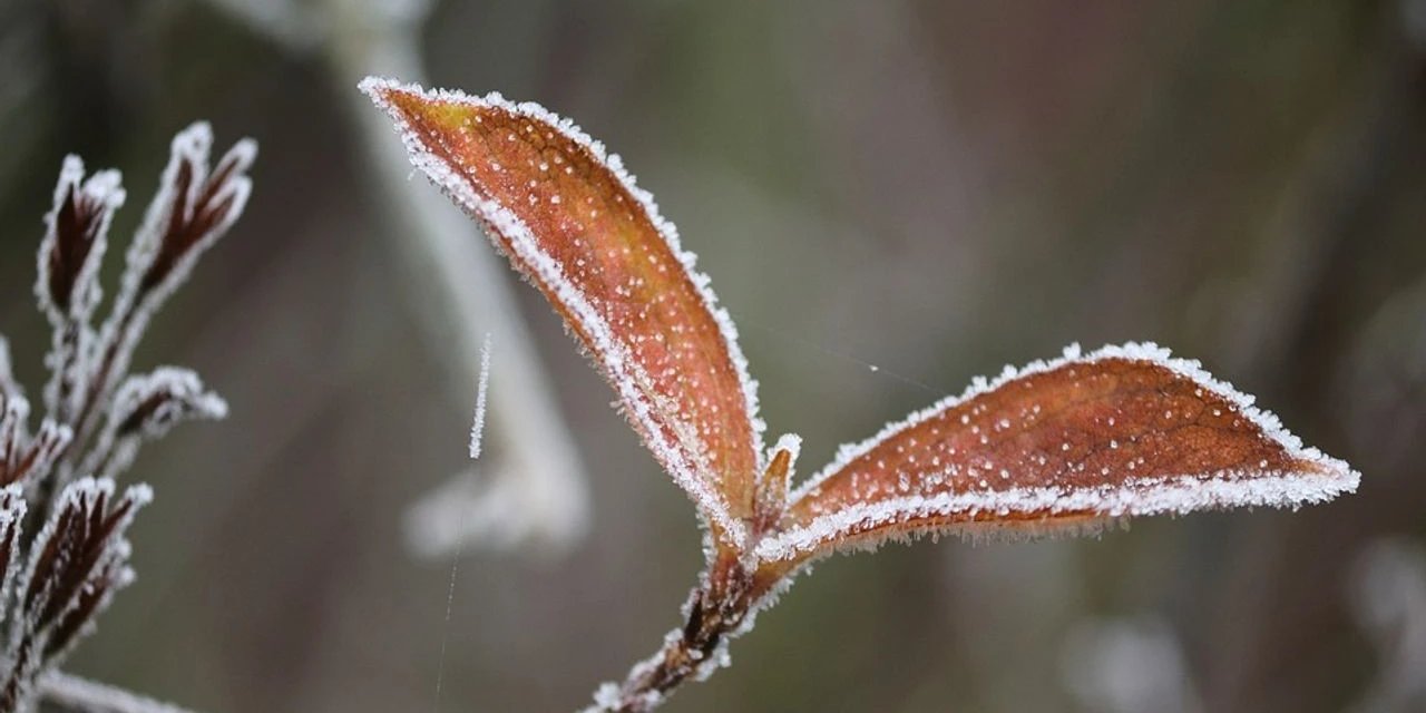 Meteoroloji saat verip Konyalı üreticileri uyardı