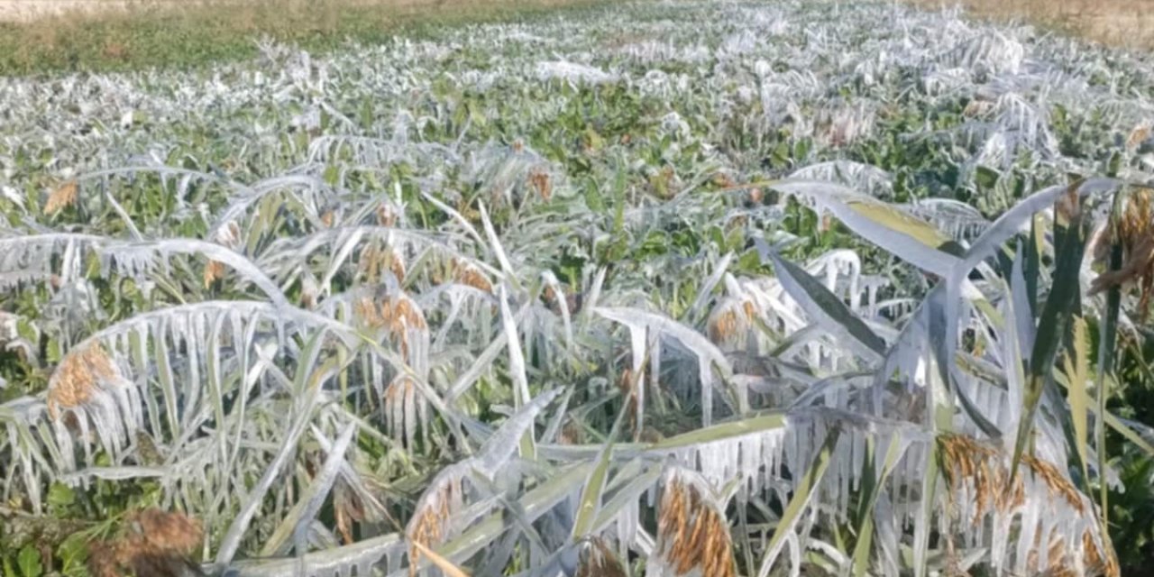 Yeni haftada Konya’da hava nasıl olacak?