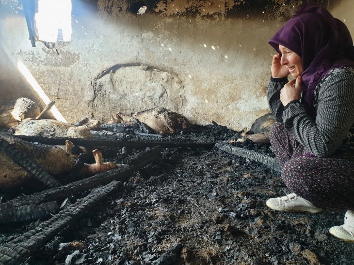 Yangında 26 koyunu telef olan kadın, gözyaşlarını tutamadı