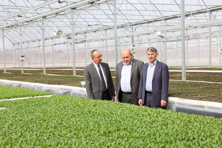Konya'da kurulan tesiste 12 milyon fide üretiliyor