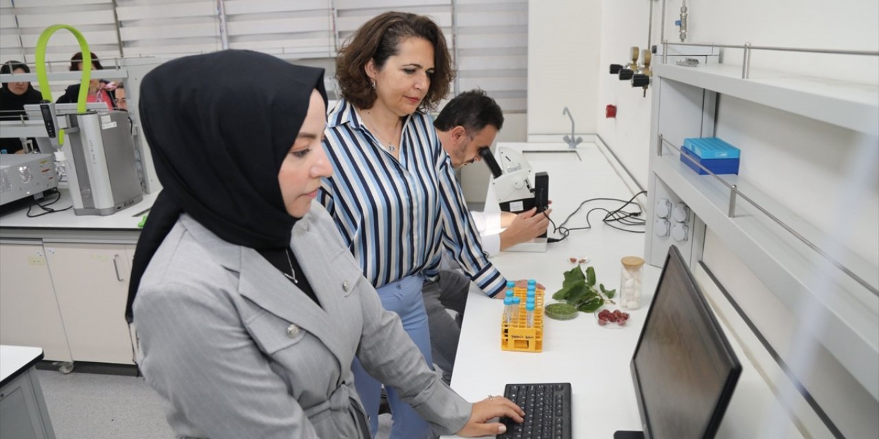 Diyabet hastaları özel gıda kaplamasıyla bunları da tüketebilecek