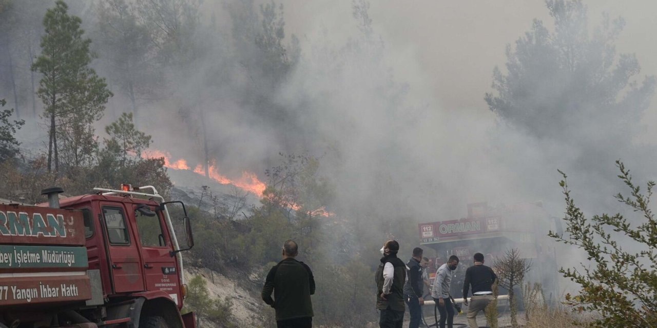 15 saatin sonunda orman yangını kontrol altına alındı