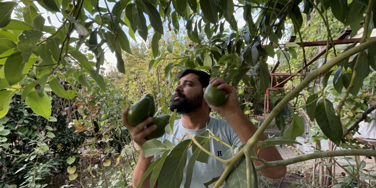 Deprem yaralarını sarıyor, tanesi 20 TL'den alıcı buluyor