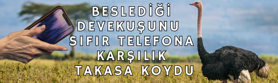 Beslediği devekuşunu sıfır telefona karşılık takasa koydu