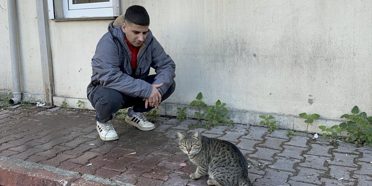 Öğle yemeğini kediye kaptıran işçinin şaşkınlığı kamerada