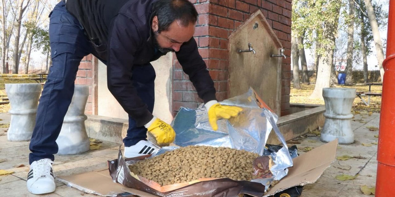 Konya’da sokak hayvanları için mama ve su bırakıldı