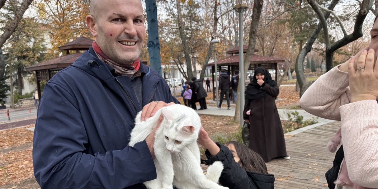 Konya’da ağaçta mahsur kalan kedi böyle kurtarıldı