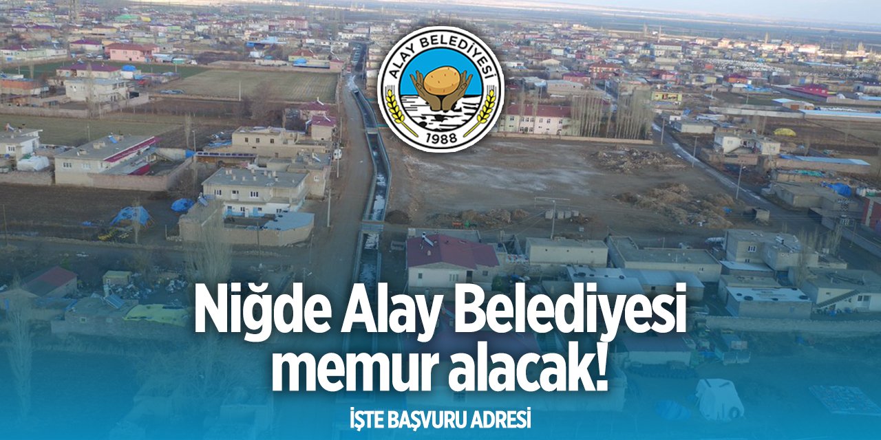 Alay Belediyesi memur alımı 2024 - 2025