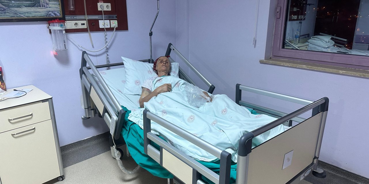 Ahıra gitmek için evden çıkan yaşlı kadın dehşeti yaşadı