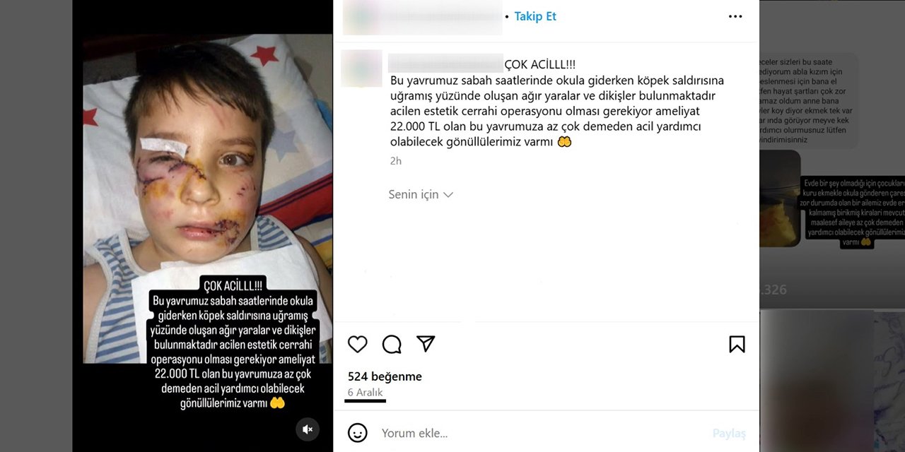 Bunun adı sanal dilencilik! Çocuk fotoğraflarını kullanarak para topluyorlar