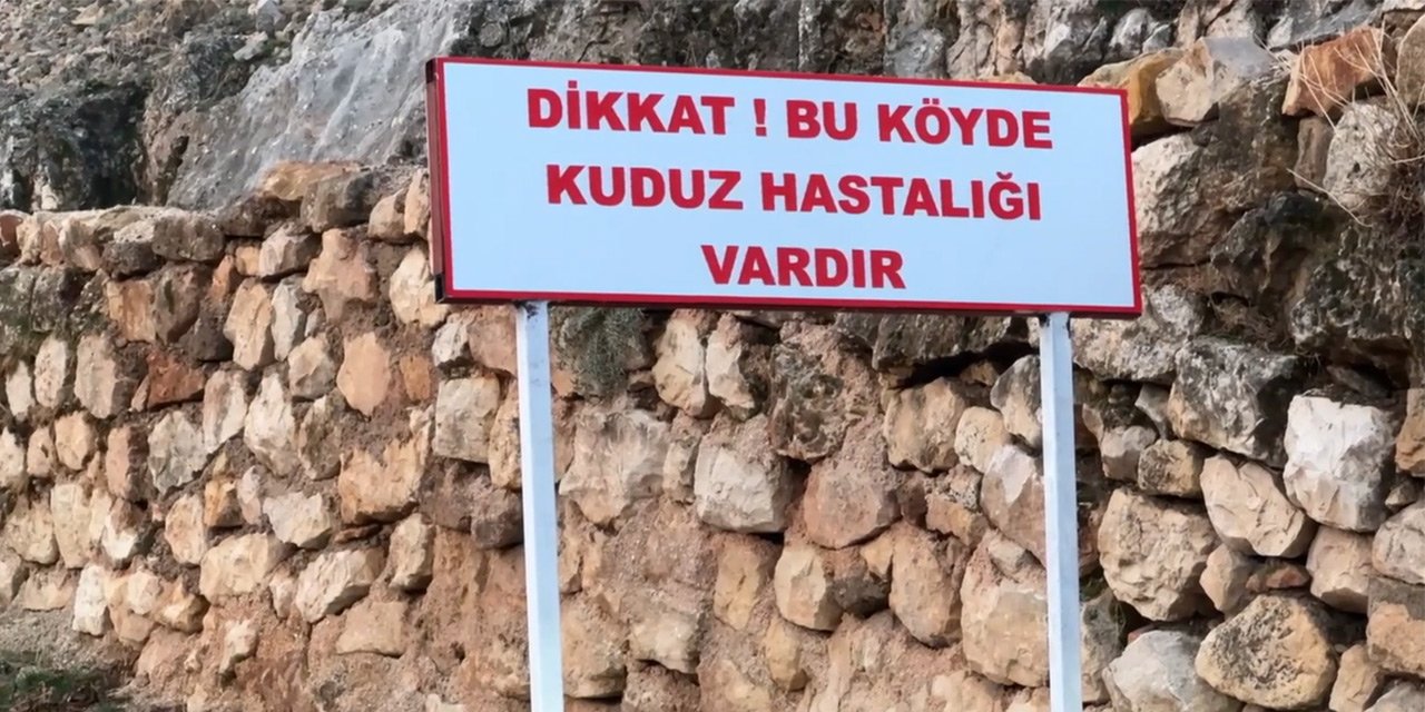 Kuduz köpek çocuğu ısırdı, köy karantinaya alındı