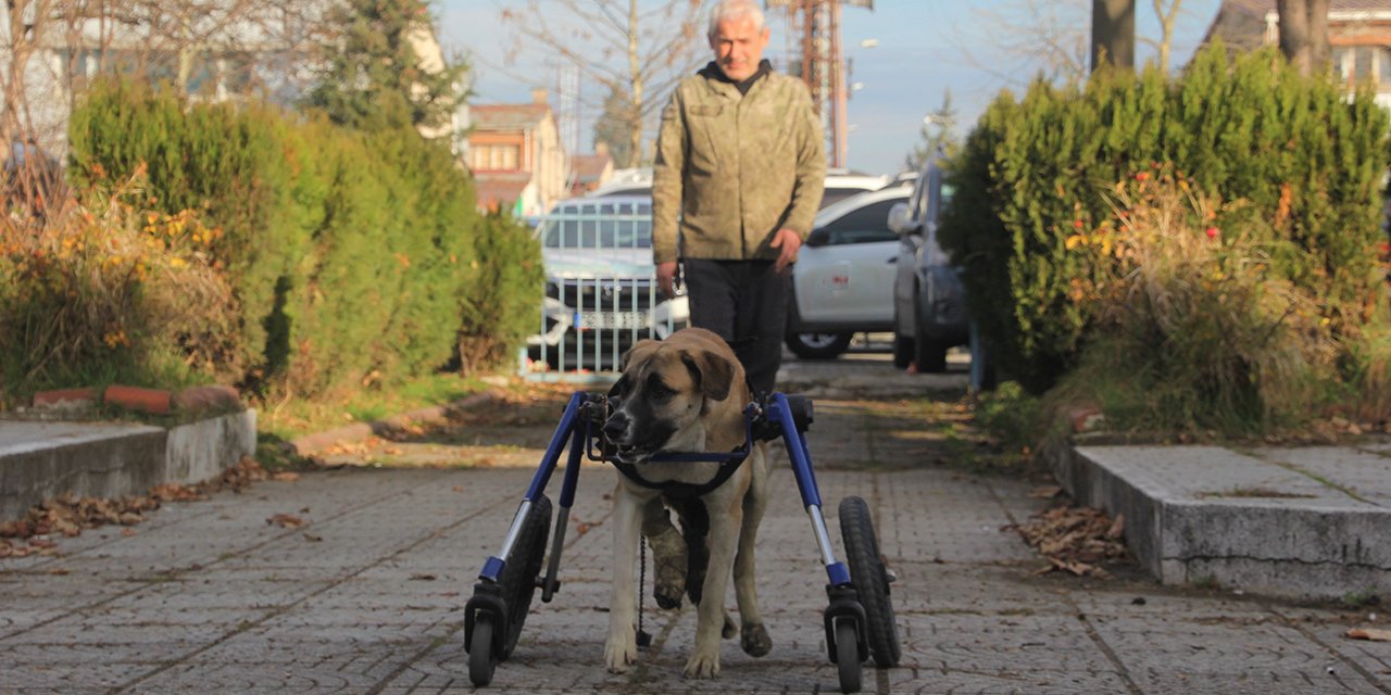 Oto tamircisi, sakat kalan köpeğini yeniden hayata bağladı