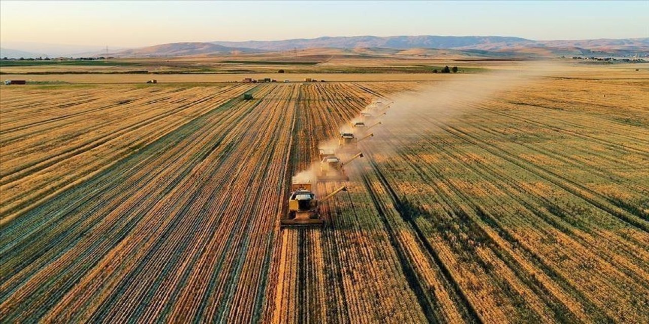 2024 yılında TARSİM'in çiftçilere ödediği miktar belli oldu