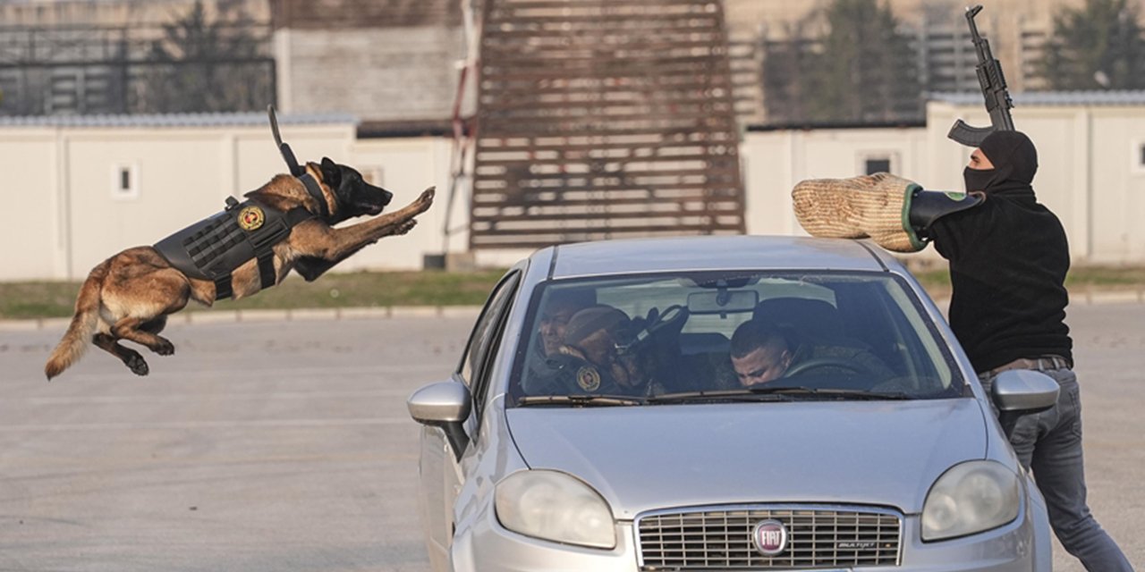 Jandarma köpekleri, ülkeye hizmet için zorlu eğitimlerden geçiyor