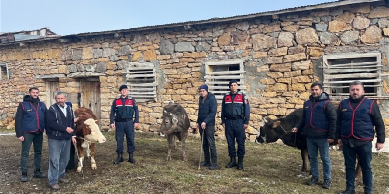 Çalınan hayvanlar teslim edildi, 4 zanlı tutuklandı