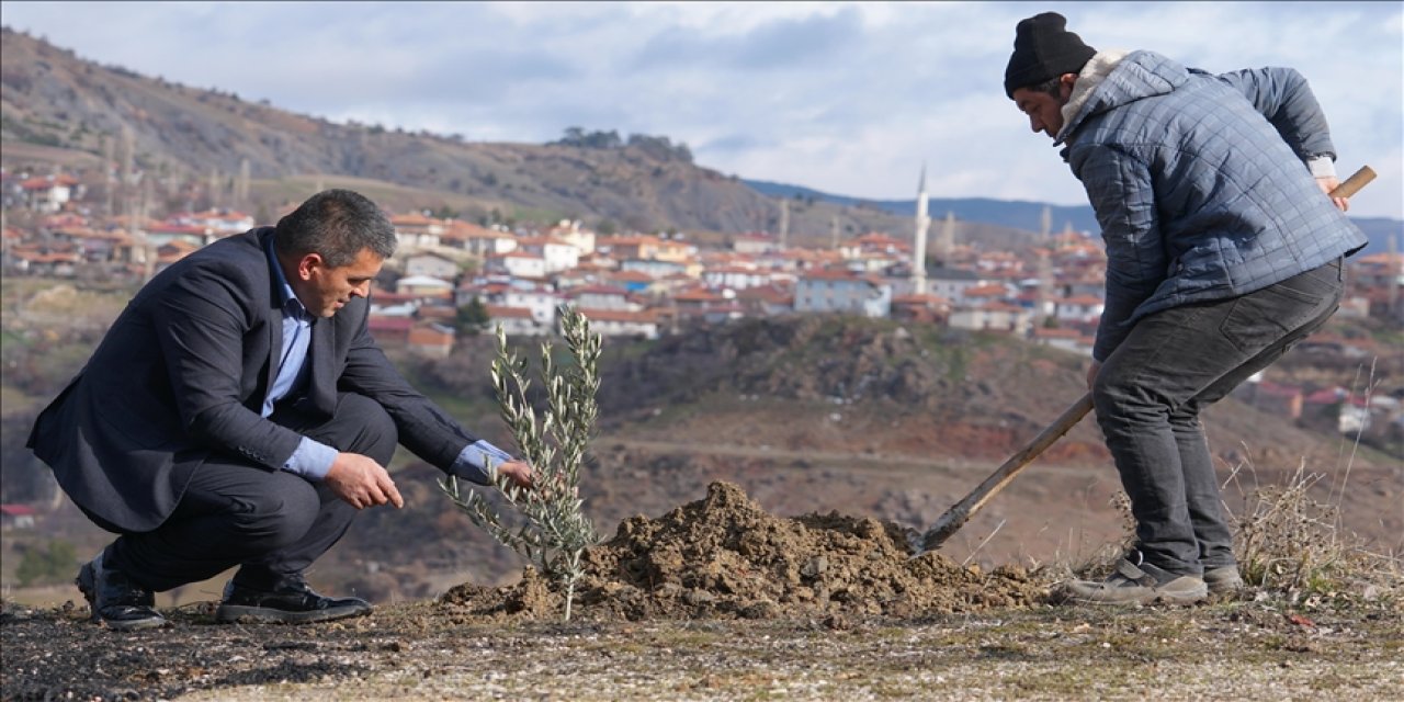 Fidanla doğum, fidanla veda