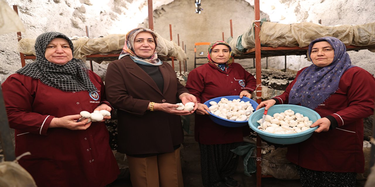 Girişimci kadınlar mantar üretiyor