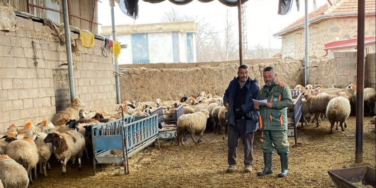 Konya’nın bir ilçesinde şap alarmı