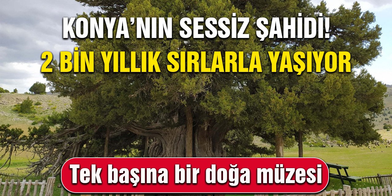 Konya’nın sessiz şahidi! 2 bin yıllık sırlarla yaşıyor