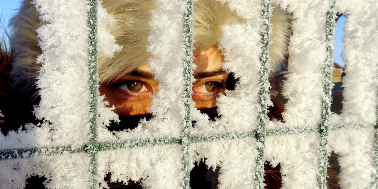 Türkiye’nin doğusu buz kesti: Eksi 34'ü gördüler