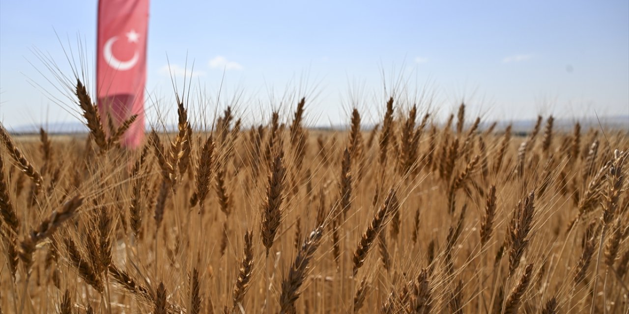 Tarım ve gıda ürünleri ihracatında rekor