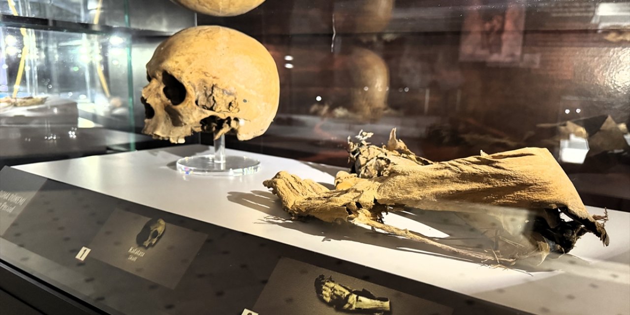 Mısır değil Aksaray! Kedi mumyası ilgi görüyor