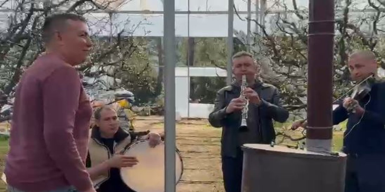 Arılar için seraya orkestra getirdi