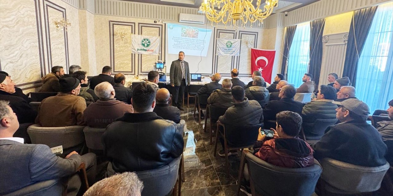 Konya’da geliştirildi, bölge çiftçisine tanıtıldı