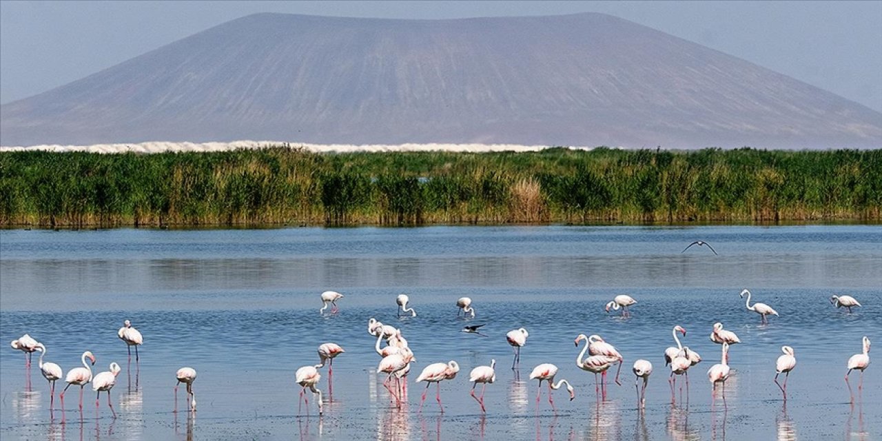 131 sulak alan koruma altında