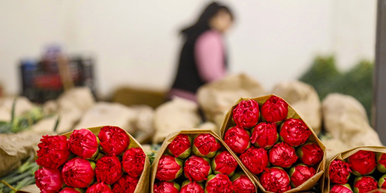 Dünya, Türkiye’nin 75 milyon dal aşk çiçeğiyle uyanacak