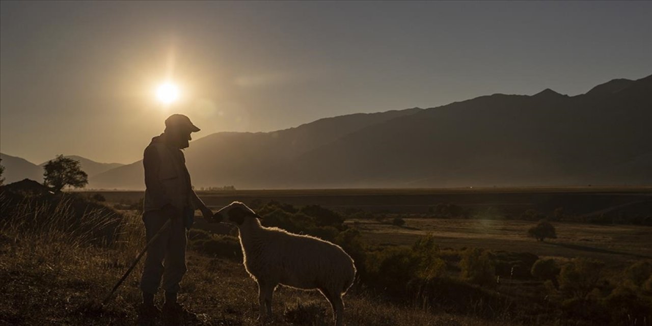 Kırsalda Türkiye'nin nüfusu azalıyor