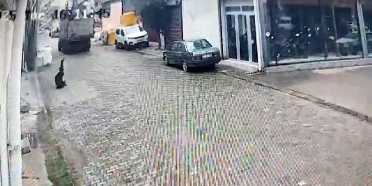 Kamyon elektrik telini kopardı, vatandaş akıma kapıldı