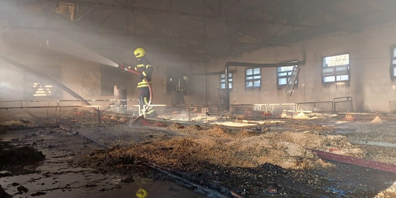 Çiftlikte yangın çıktı, 6 binden fazla civciv telef oldu