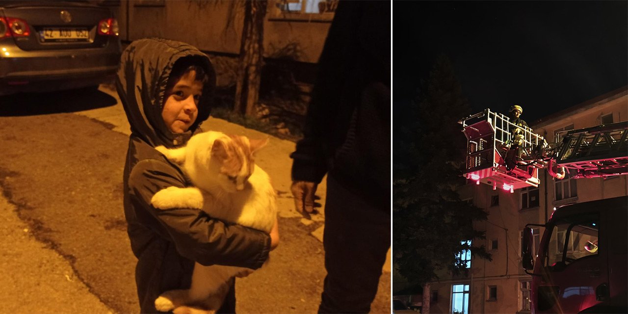 Konya’da itfaiye ekipleri Mercan’ı ağaçtan indirdi