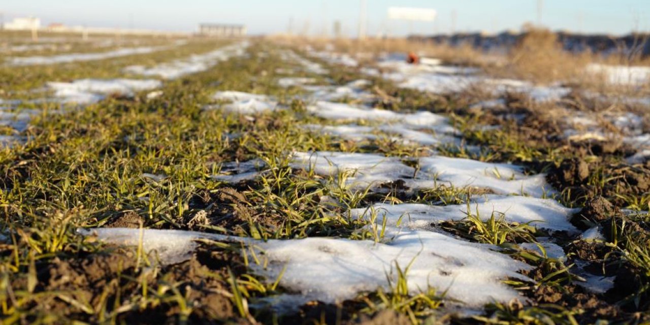 Konya Ovası’nda endişelendiren tablo