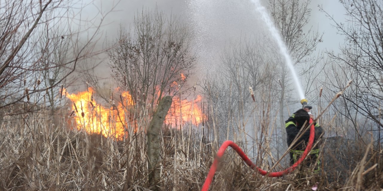 Otluk alanda çıkan yangın ağaçlık bölgeye sıçradı