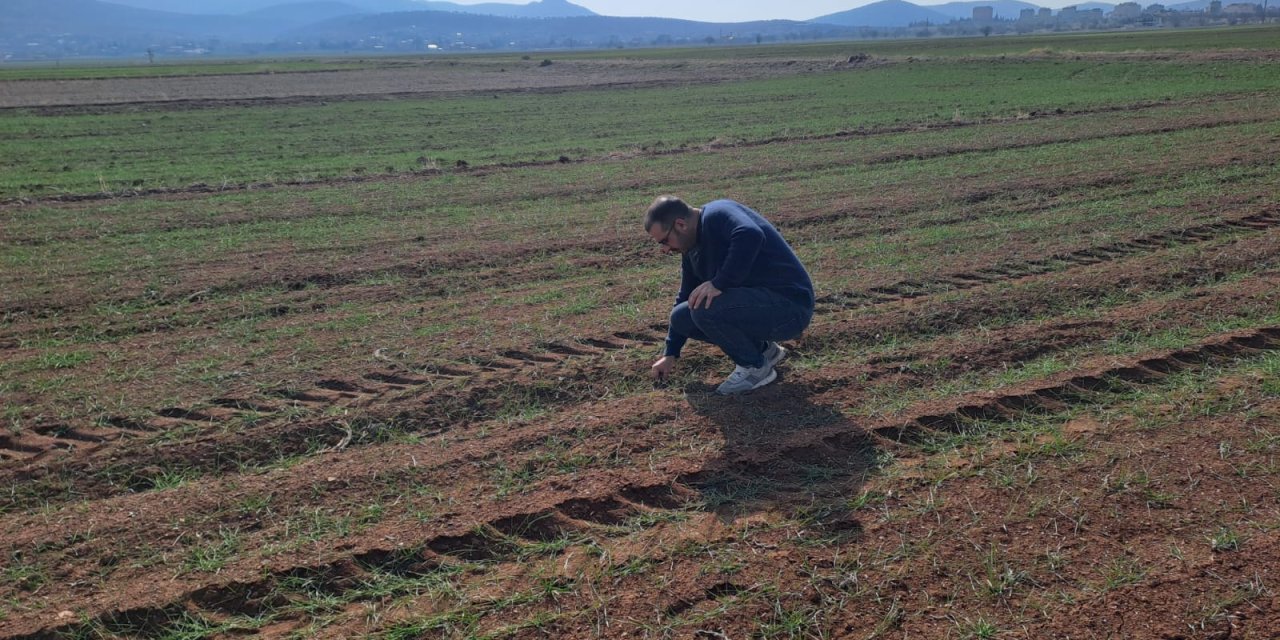 Konya'da çiftçinin umudu bahara kaldı
