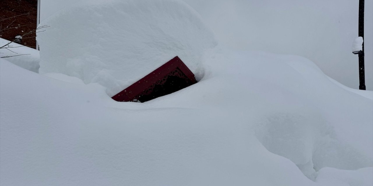 Kar yağan yayla bu hale geldi
