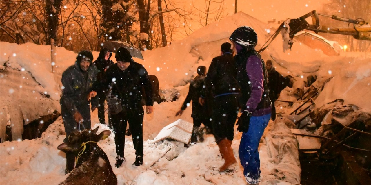 Kar nedeniyle ahır çöktü, hayvanlar altında kaldı