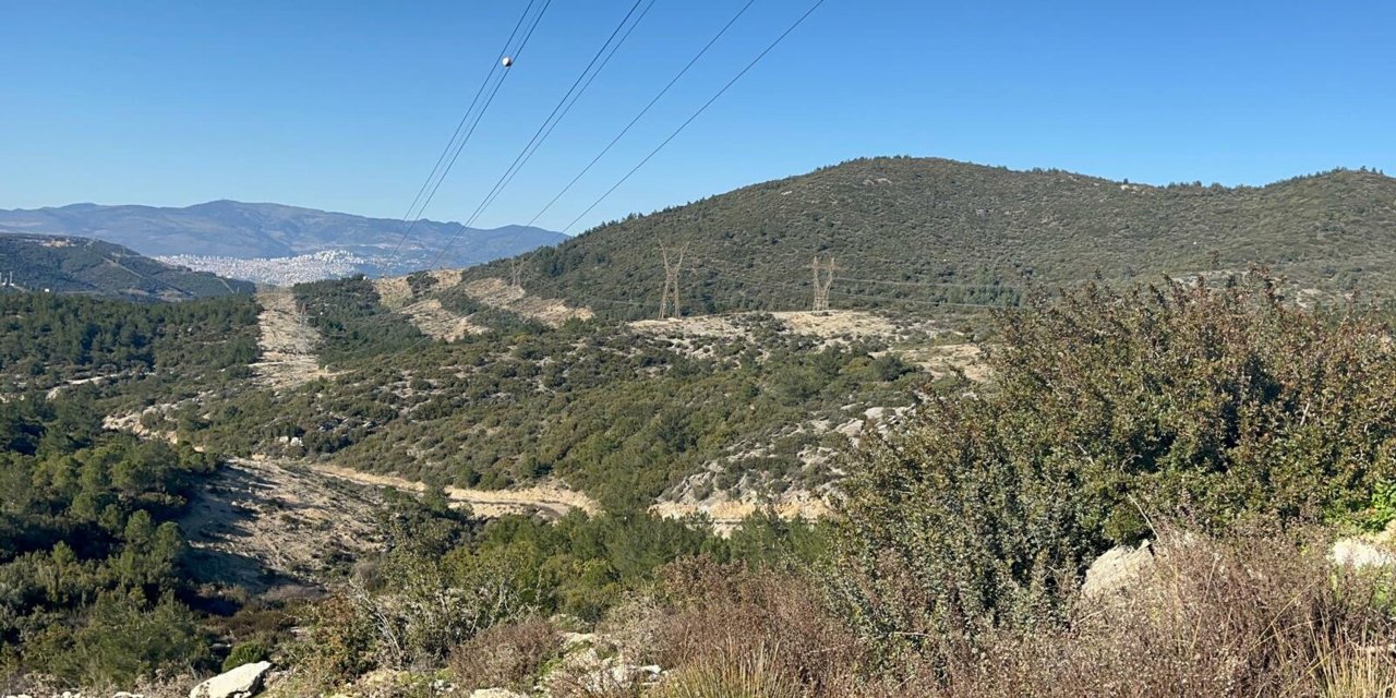 Bir babanın en acı anı! Avda 12 yaşındaki oğlunu öldürdü