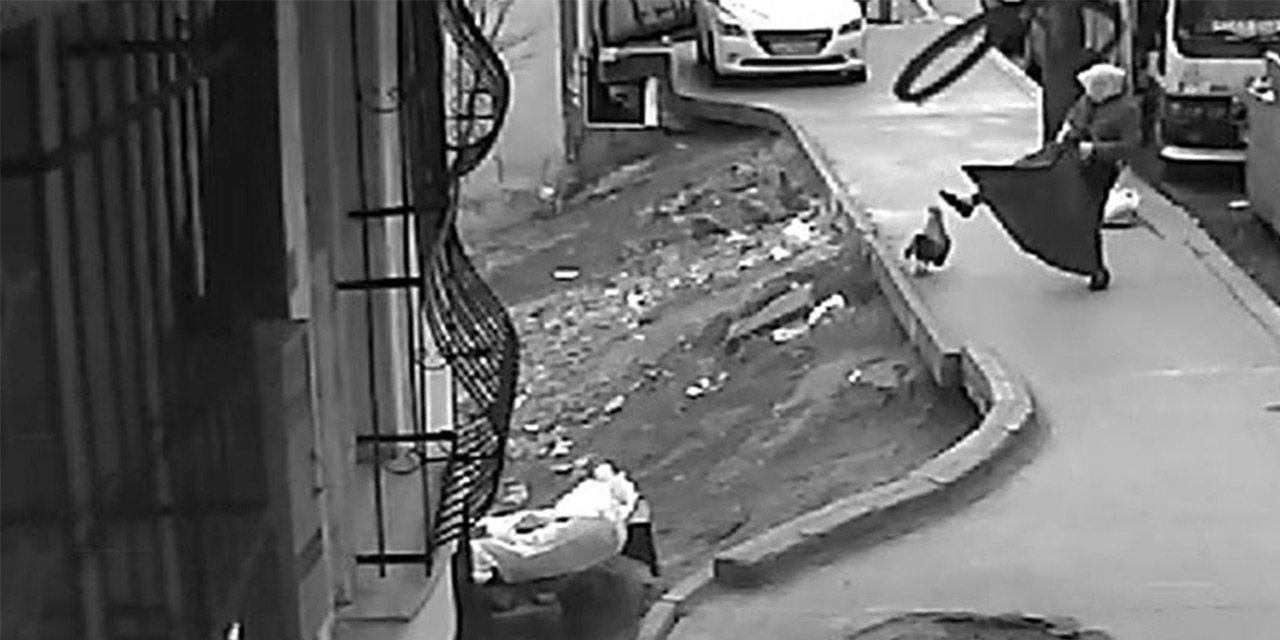 İkisi de birbirinden inatçı! Ne horoz pes etti ne kadın