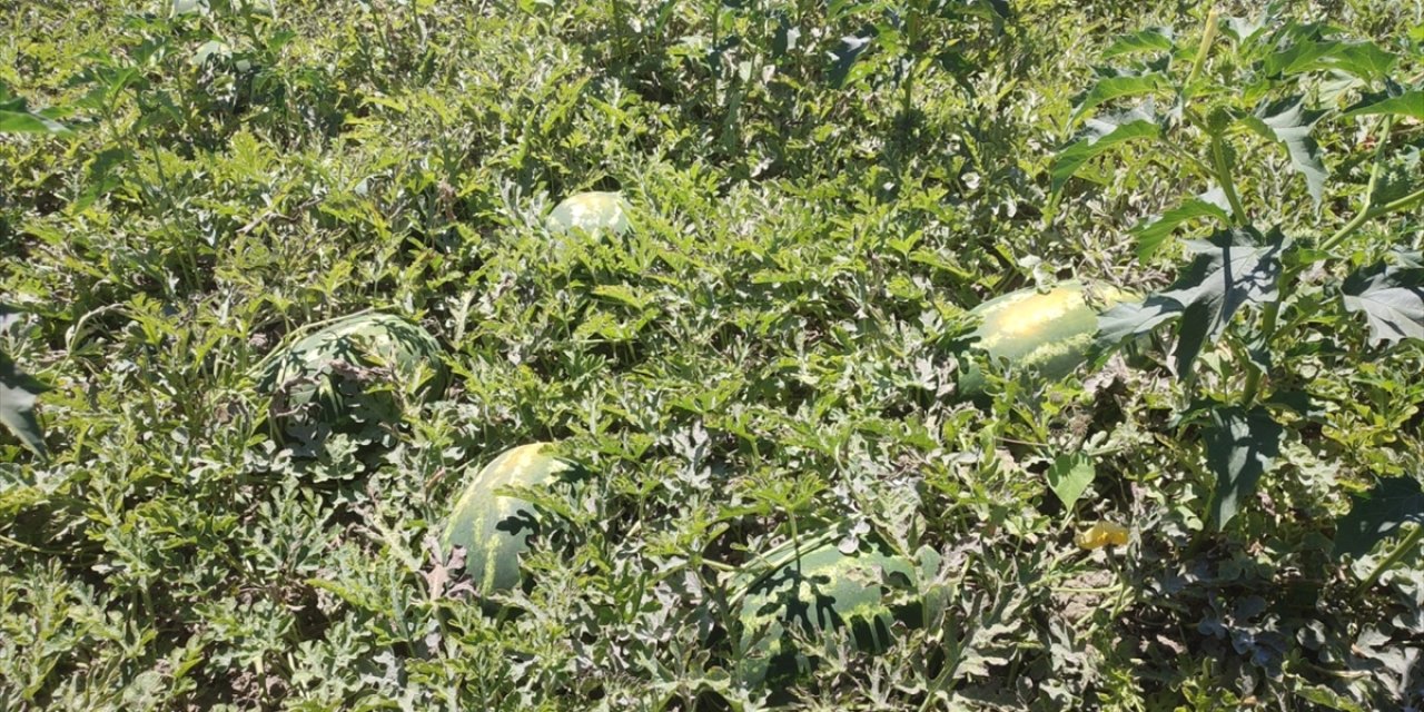 Konya'nın bir lezzetti daha coğrafi işaret aldı