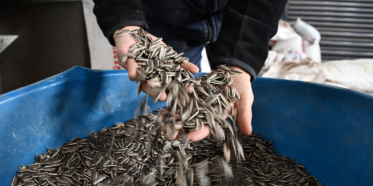 Konya'dan da alıp yılda 1000 ton ay çekirdeği eliyor