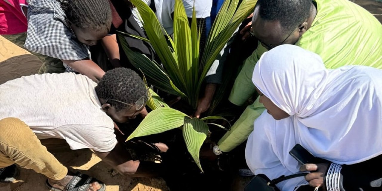 Konya’dan Senegal’e yeşil destek