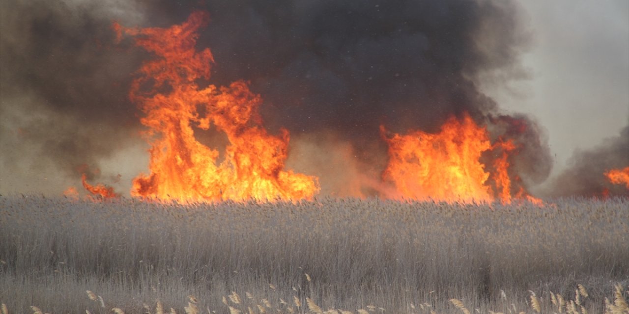 Beyşehir Gölü Milli Parkı’nda yangın