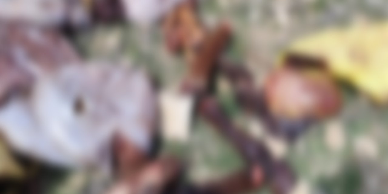 Şok ihbar! Boş arazide at ve eşek etleri bulundu