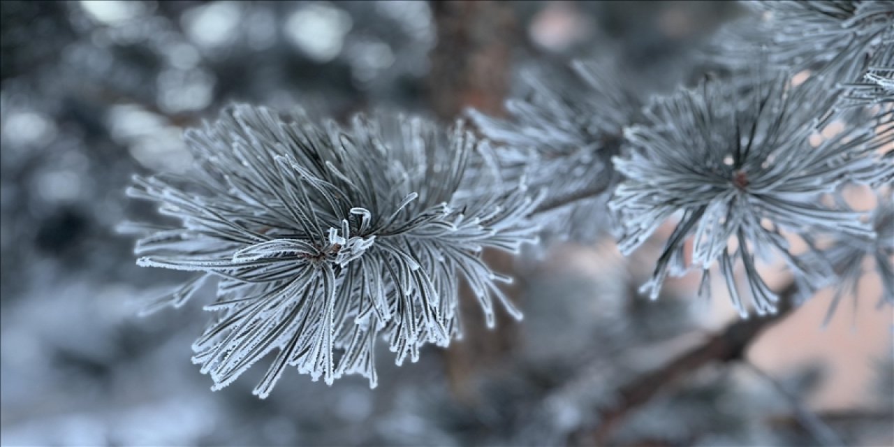 ‘Kocakarı soğukları’ bu yıl yaşanmayacak