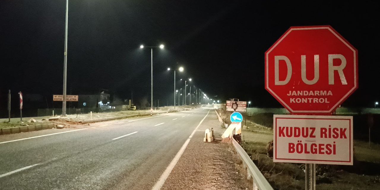 2 bin nüfuslu beldede kuduz alarmı