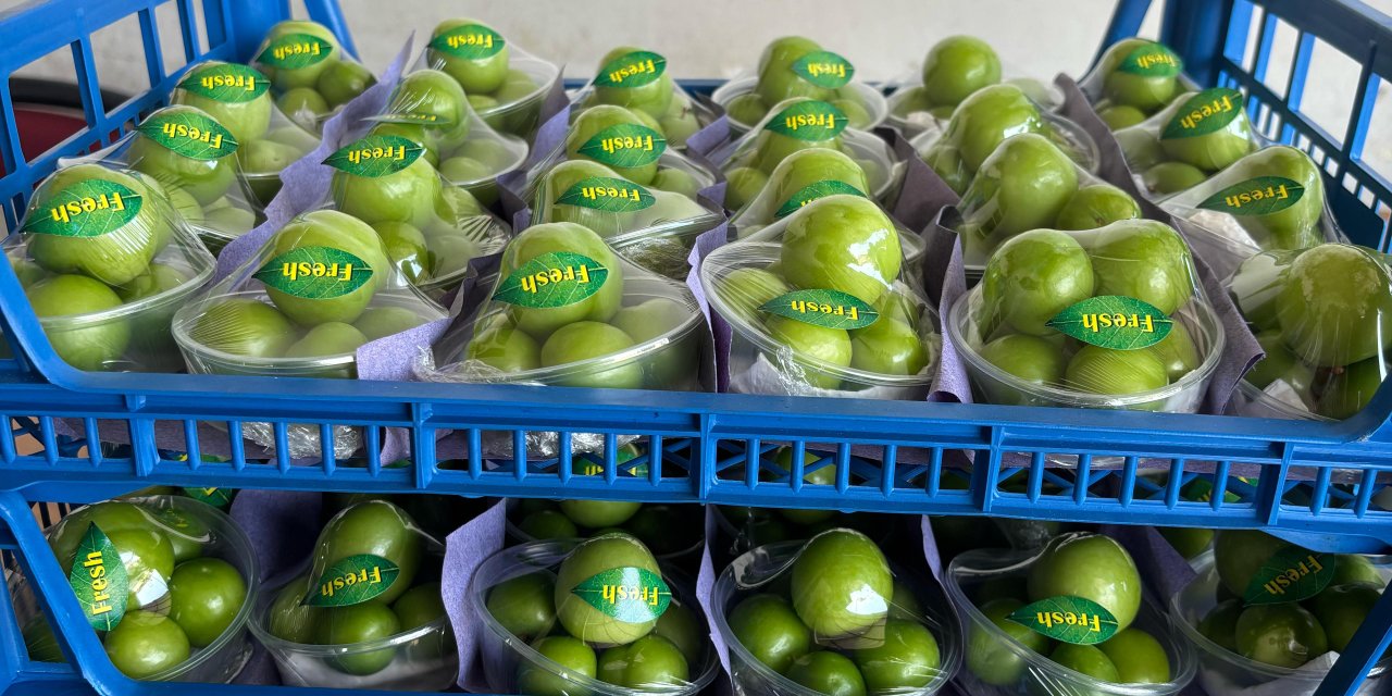 Geç hasat, kilosunu 5 bin 500 TL’den 2 bin 250 TL’ye düşürdü